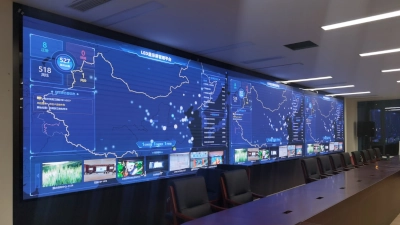 Lynnhan goverment display soltuion