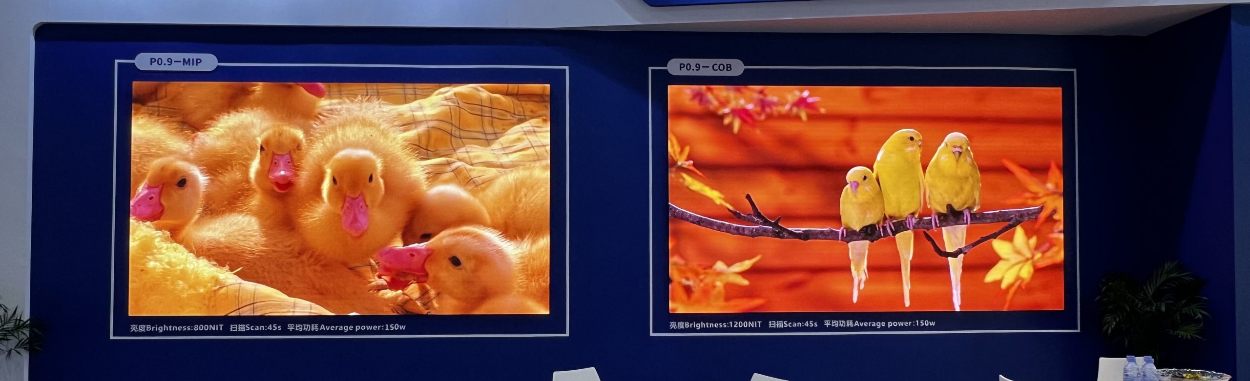 SMD vs. COB vs. MiP: Shifting Market Shares in LED Display Technology (2025 Report)